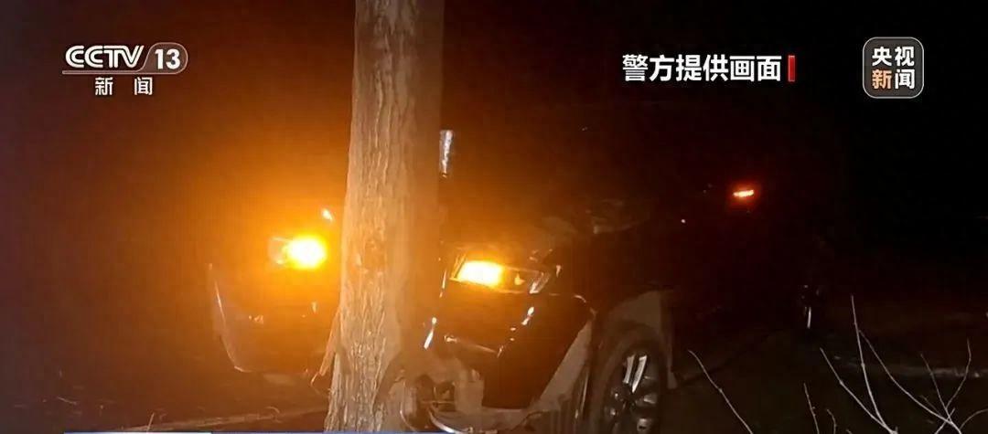 男子骗保撞树身亡事件，悲剧背后的反思与启示