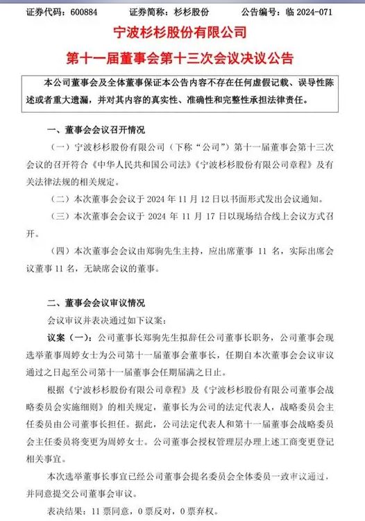 杉杉股份迎来新生代力量，董事长辞职，80后继母接任——企业变革中的新力量崛起