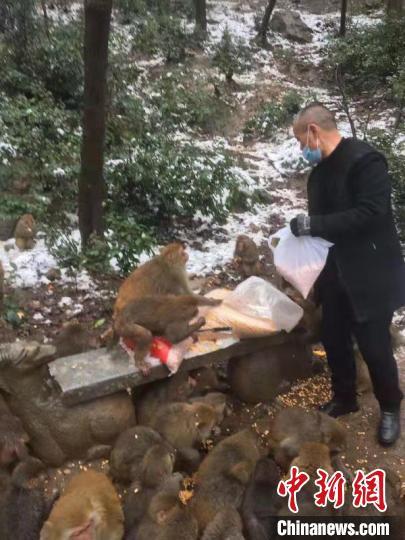 女子救下猕猴养半年，人猴奇缘的温馨故事