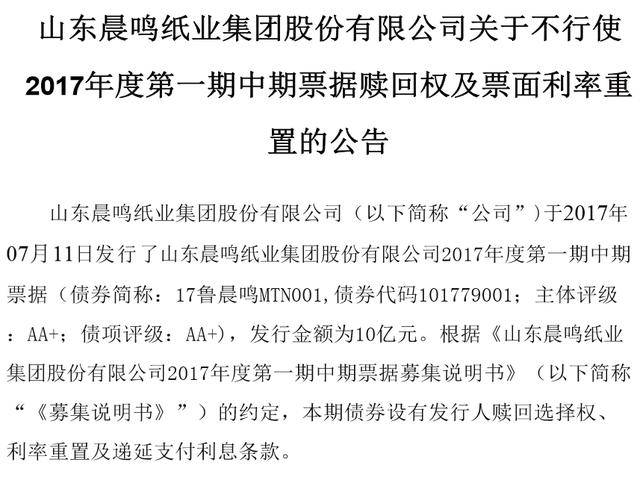 晨鸣纸业应对债务逾期挑战与机遇的企业策略解析