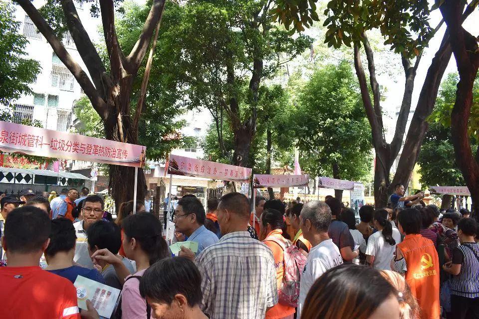 登革热防治手册，预防与应对指南