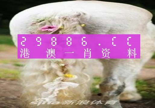 澳门资料库澳门码鞋一肖一码,最新分析解释定义_尊贵款93.603