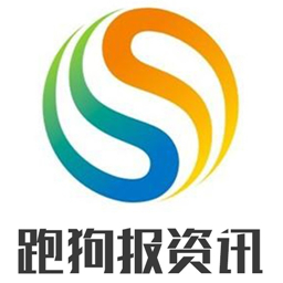 新版跑狗高清图片2024版,资源实施方案_高级款57.126