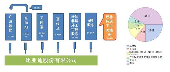 比亚迪公司十大股东名单及其影响力分析