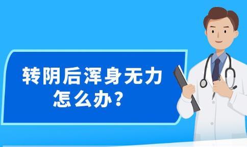 网站建设 第241页