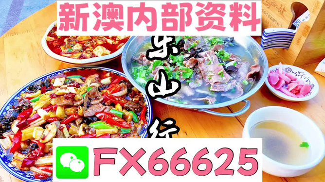 新澳正版资料免费大全,动态解读说明_特供版25.140