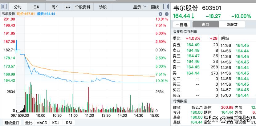 资深股民遭遇巨额罚款事件，警示与反思