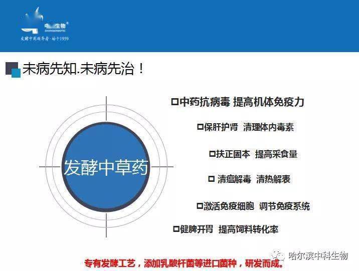 新奥最新资料单双大全,高效实施策略设计_特供款82.777