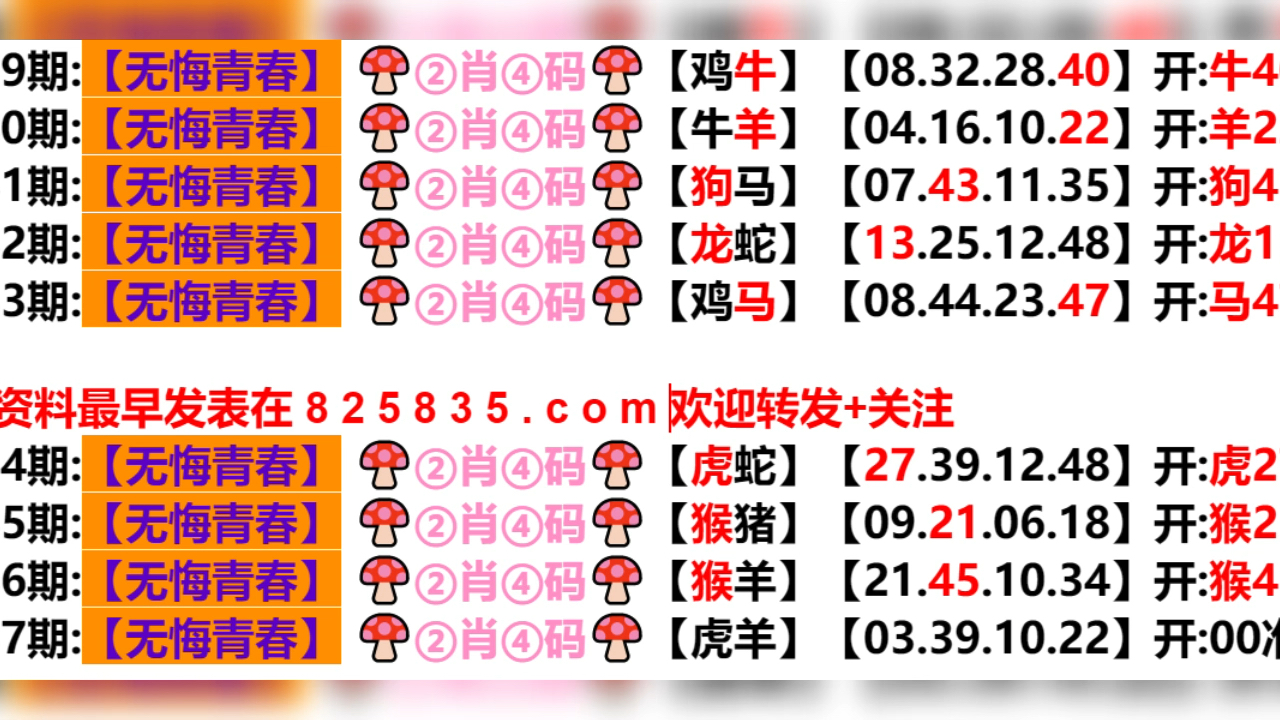 2024年新奥门天天开彩,定性评估说明_MP90.878