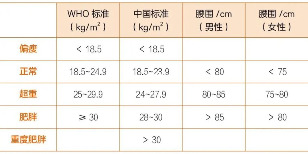 BMI体重指数计算及应用指南