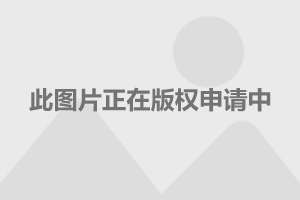 2024年正版资料免费大全挂牌,高速方案解析响应_钱包版53.163