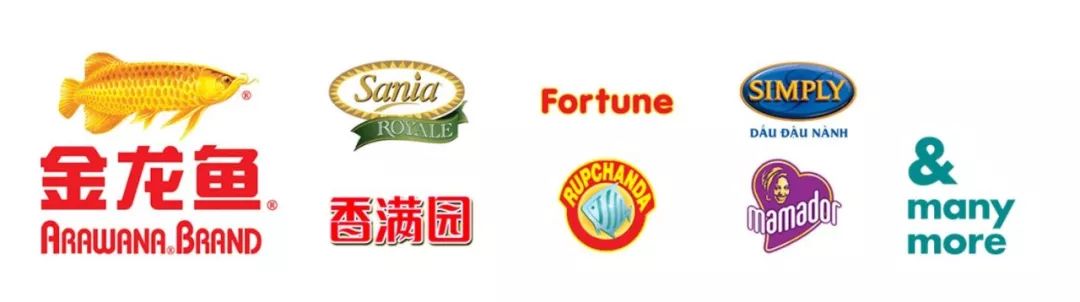 金龙鱼Logo标志设计探究及其寓意解析