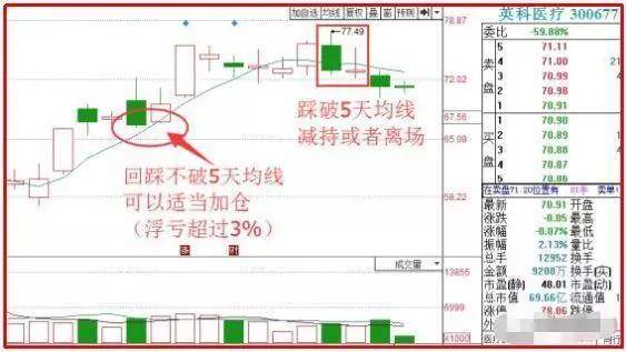 澳门天天开彩期期精准,高速响应方案规划_优选版42.631