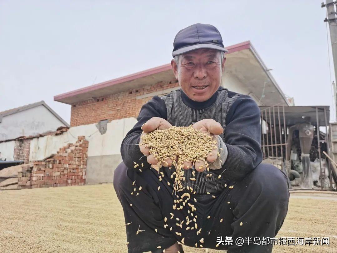 六一儿童节起源与意义探究