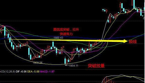 深度解析牛市股票的独特属性及特点