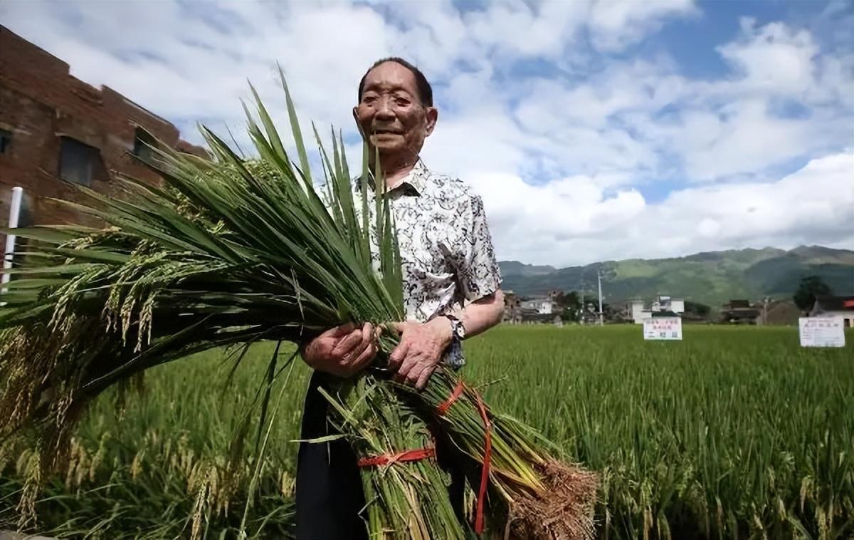 Yuan Longpings Life Journey