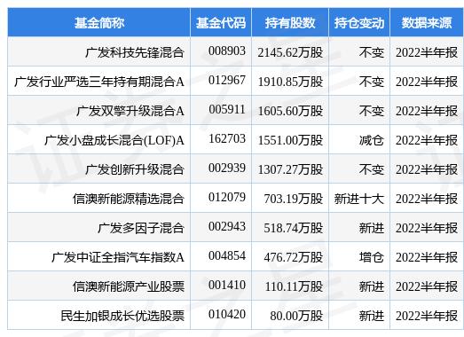 赛力斯股票深度解析与持有价值展望