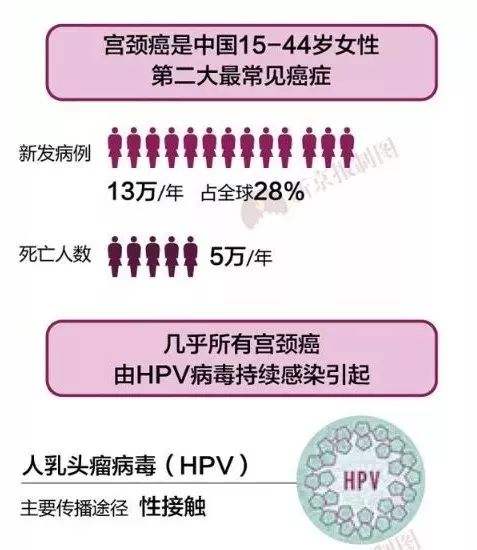 梅艳芳与HPV感染背后的故事探究