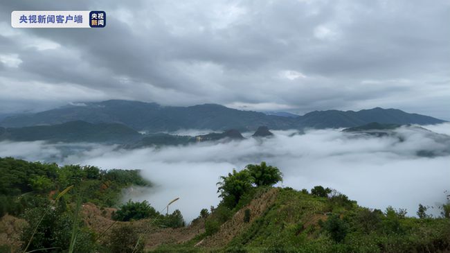 哀牢山深处的秘密，749局特殊任务的揭秘