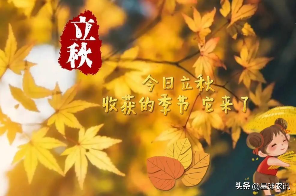 立秋，季节转折的自然韵律