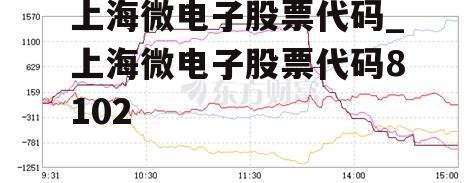 上海微电子股票代码深度解析，探索与洞察之旅