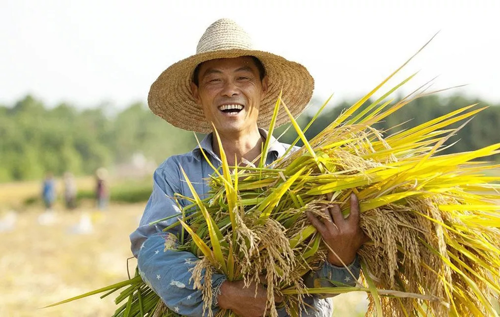 探寻丰收节背后的农耕文明，哪个民族的节日庆祝硕果与喜悦？