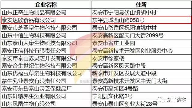 东平县企业排名与影响力深度解析