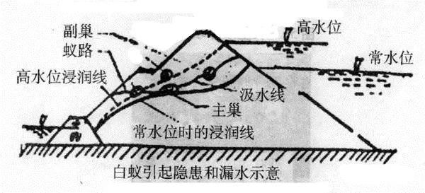 修堤坝原理详解，从基础概念到实际应用