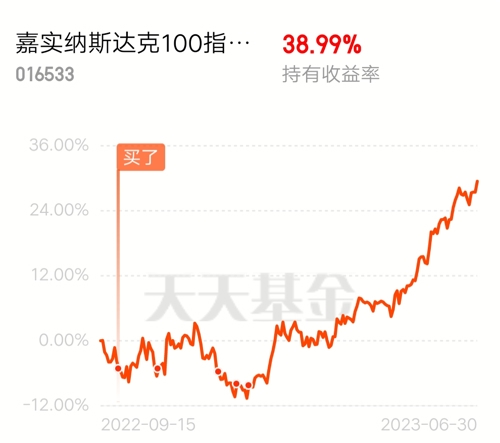 嘉实纳斯达克100ETF深度解析，优势、风险与投资策略探讨