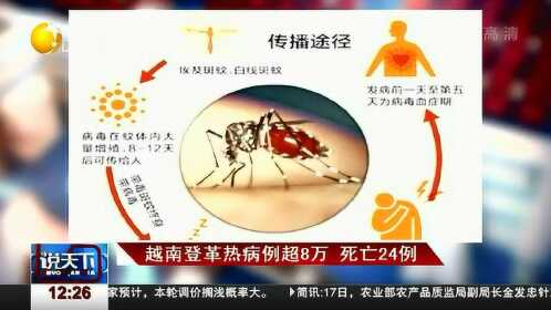 登革热的死亡率，真相揭秘与误解解析