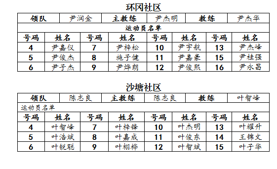 法国篮球甲级联赛赛程深度解析，多少赛事构成篮球盛宴？