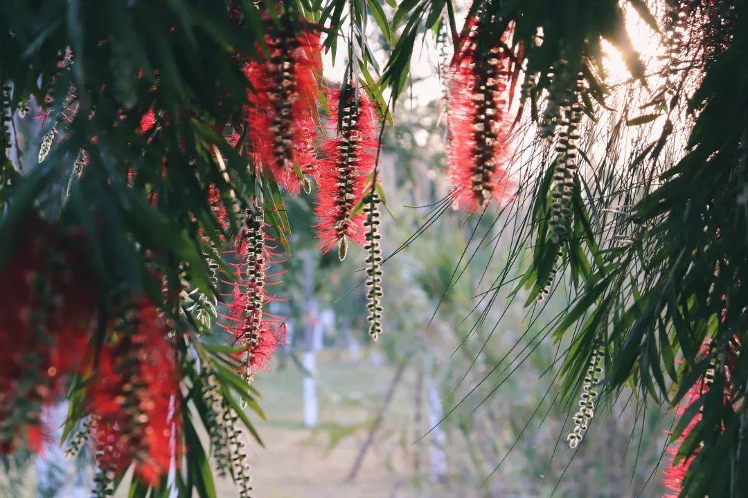 夏至与冬至，四时之意的深度探寻