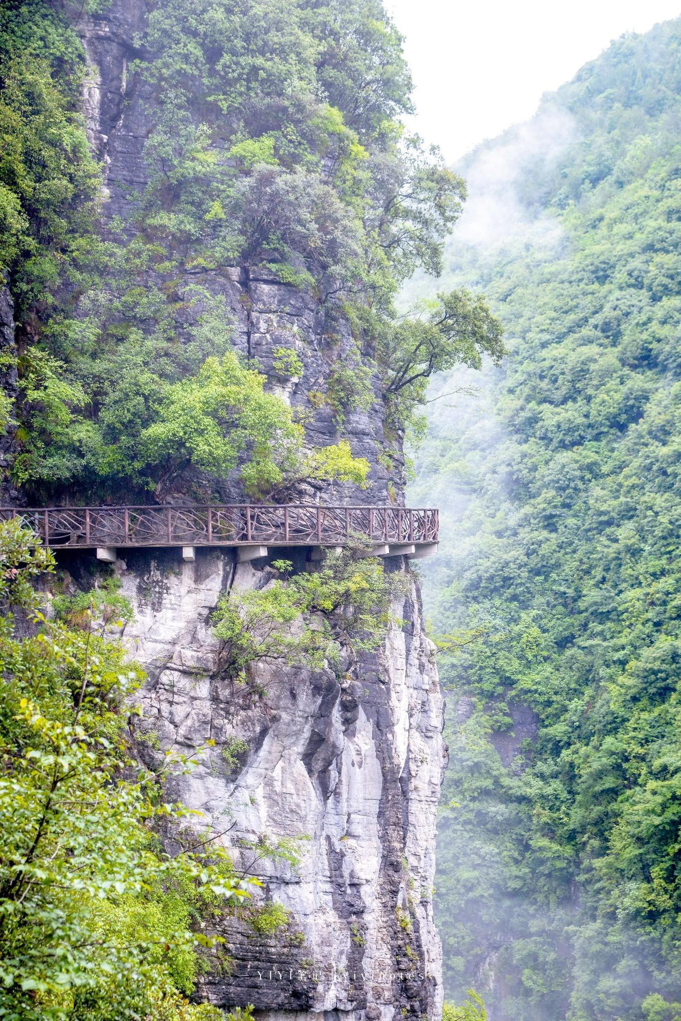 三伏天，探寻炎热极致的起点之旅