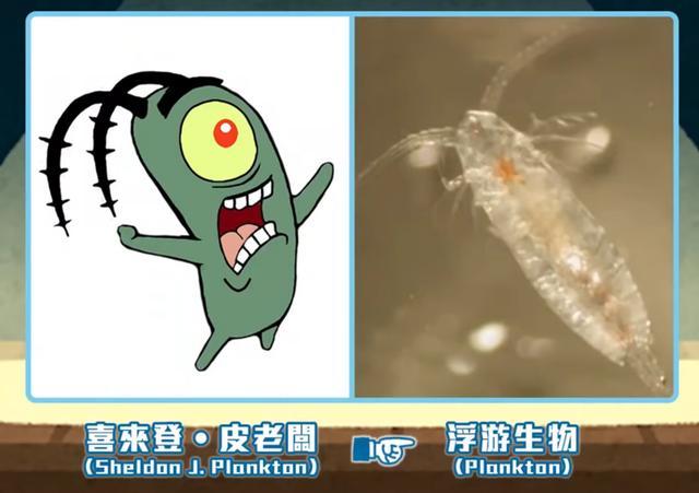 痞老板生物原型揭秘，探究神秘形象背后的真实身份